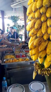 Au bout du monde : Tropical Farm, le paradis du fruit. Bananes.