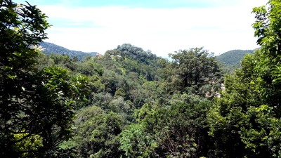 Au bout du monde : Tropical Farm, le paradis du fruit. Teluk Bahang.