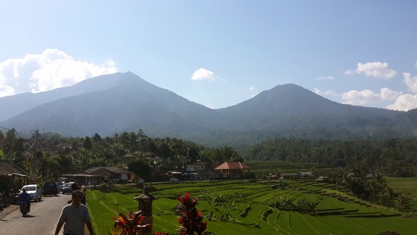 batukaru bali indonesie