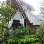Galerie Bali Green village