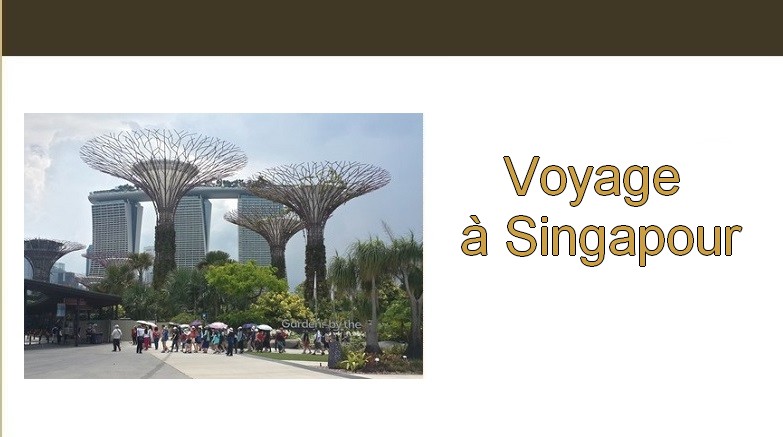 Carnet de voyage. Voyage à singapour