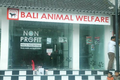 Protection des animaux à Bali : BAWA, la cour des miracles. Boutique 