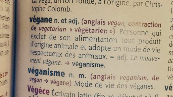 definition vegan
