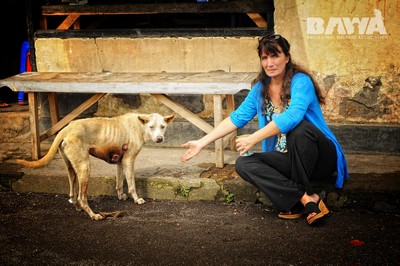 Janice, une grosse dose d'héroïne pour les animaux de Bali. Janice et un chien malade