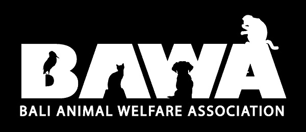 Protection des animaux à Bali : BAWA, la cour des miracles. Logo bawa