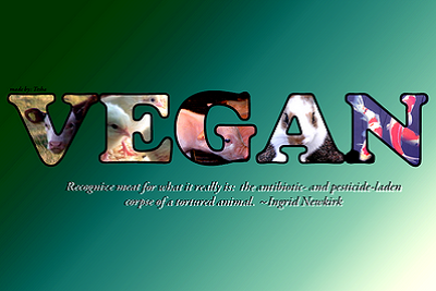 Différence entre végétarien, vegan, végétalien : tout savoir! Veganisme