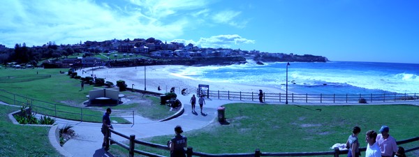 Découverte de l'Australie : quoi faire à Sydney. Vue panoramique à Coogee