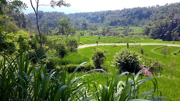 Amed, un coin de paradis sur l'île des Dieux Rivière Paysages