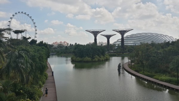 vue roue marina singapour