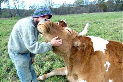 Changer son regard et ses habitudes, changer sa normalité Aimer les animaux