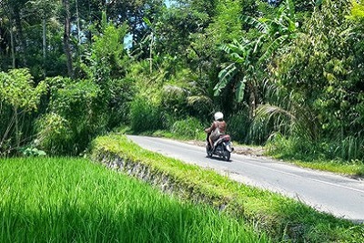 Bali autrement : Yayasan, association pour les enfants. Trouver son chemin bali