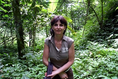 Bali, paradis du trekking au pays des volcans Jungle
