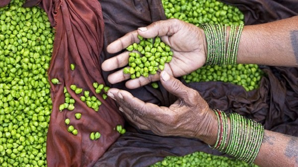 10 recettes de pois chiche sucré-salé