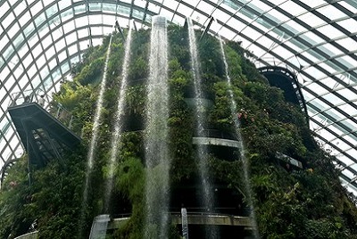 Dernier jour à Singapour : de découvertes en amitié. Cloud forest