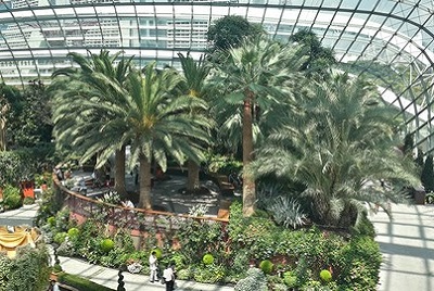 Dernier jour à Singapour : de découvertes en amitié. Flower dome