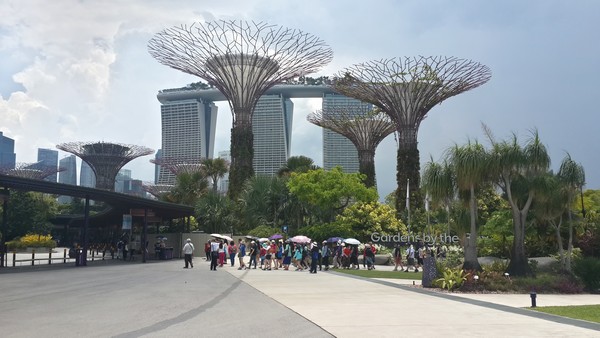 Dernier jour à Singapour : de découvertes en amitié. Gardens by the bay