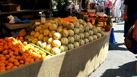 isle sorgue melons