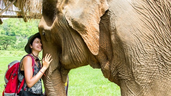 En Thaïlande Christine nous présente Chiang Mai petit paradis végétarien. Christine Drouin