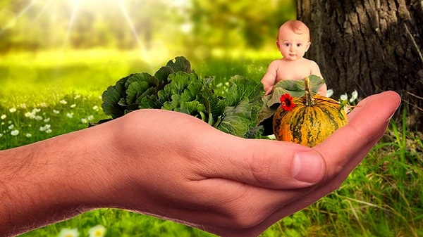 On vous dit tout sur l'arrivée de Bébé Veggie. Bébé végétarien