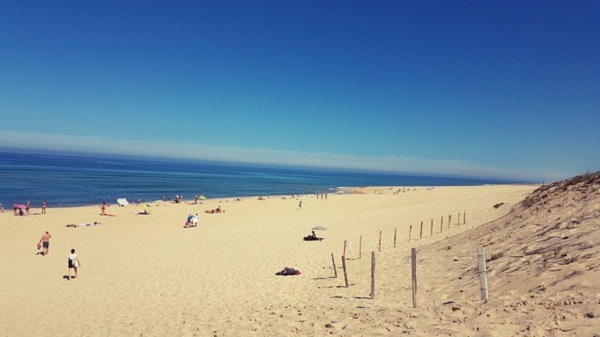 Vegan Surf Camp holidays dans les Landes : le bon plan. Plage à Moliets