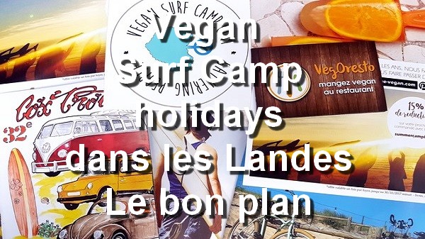 Vegan Surf Camp holidays dans les Landes : le bon plan. Cet été