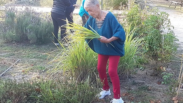 Irène Grosjean, naturopathe et coach en alimentation vivante. Le jardin