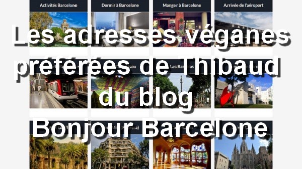 Les adresses véganes préférées de Thibaud du blog Bonjour Barcelone. Instagram