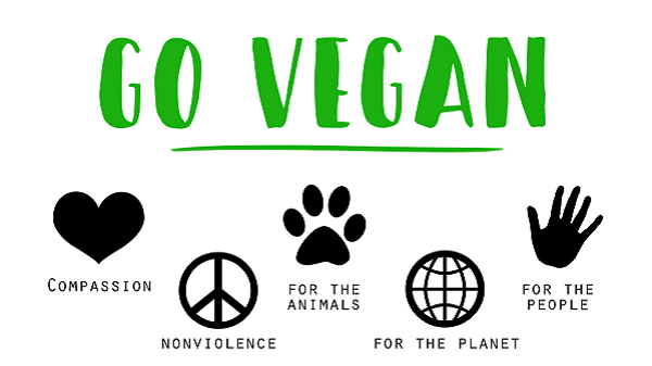 C'est quoi le véganisme? Guide pour un mode de vie, par Véronique Perrot. Go vegan 