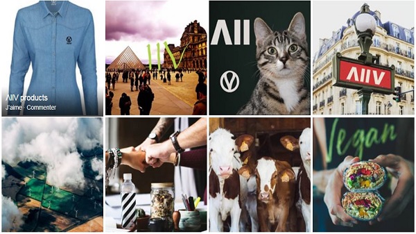 Λll V : vegan shop pour vêtements bio, fairtrade et crueltyfree! Ethique