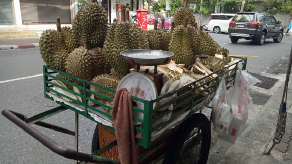 En Thaïlande Gilles Jack nous dévoile son univers d'aventures nomades. Fruits