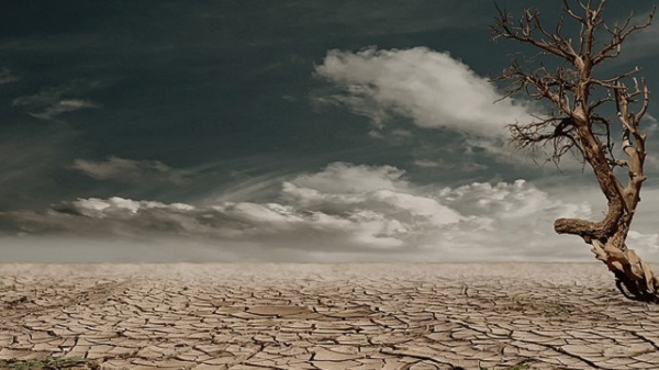 Effondrement planétaire et Pleine conscience. Exploitation