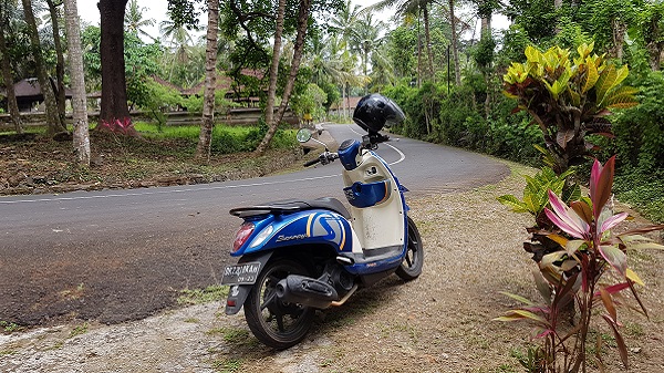 Bali, Octobre 2018 : retour vers un futur déraisonnable. Liberté