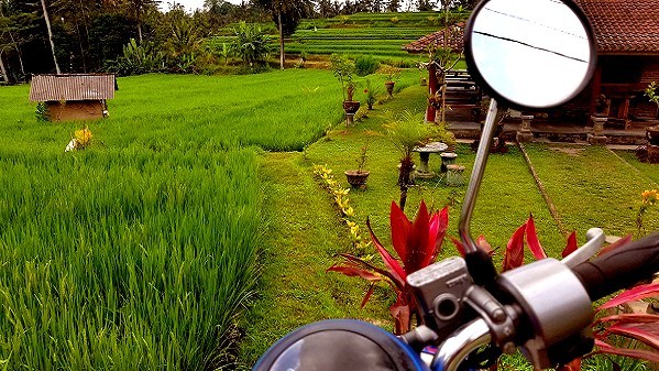 Voyager vegan à Bali