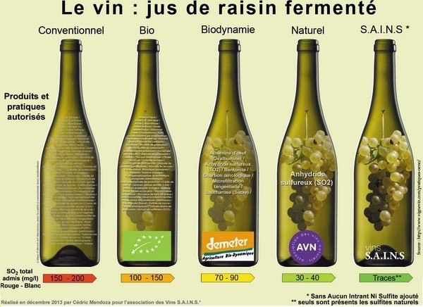 Affiche de Cédric Mendoza pour l'association des Vins SAINS en 2013