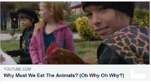 Pourquoi manger les animaux?
