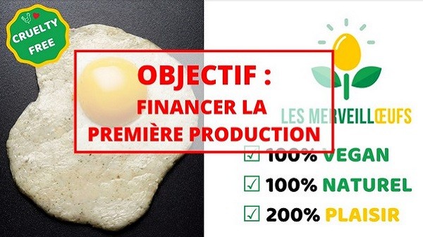 Financement participatif Merveilloeufs