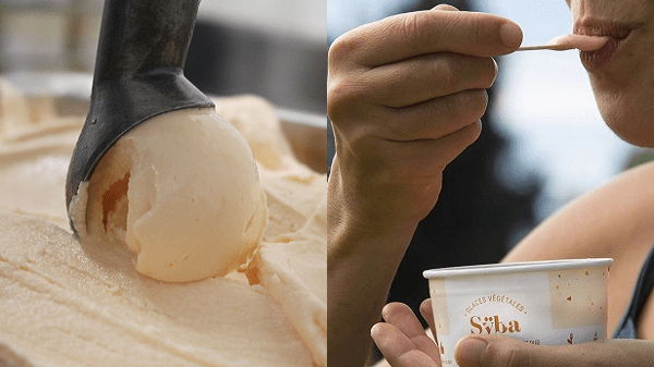 Sÿba la glace végétale néo-gourmande made in Avignon gamme